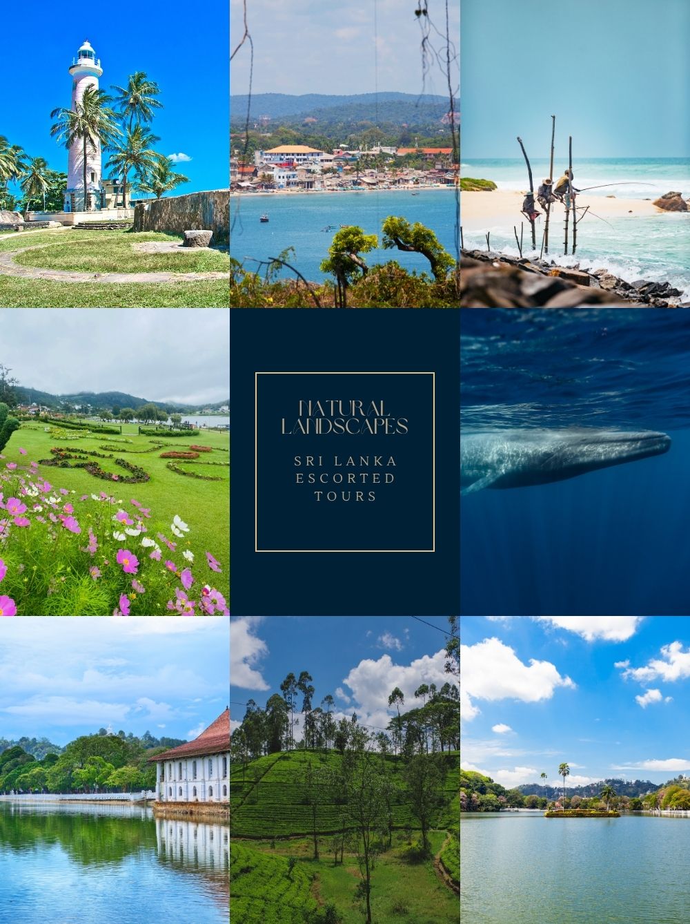 Sri Lanka Escorted Tours 3